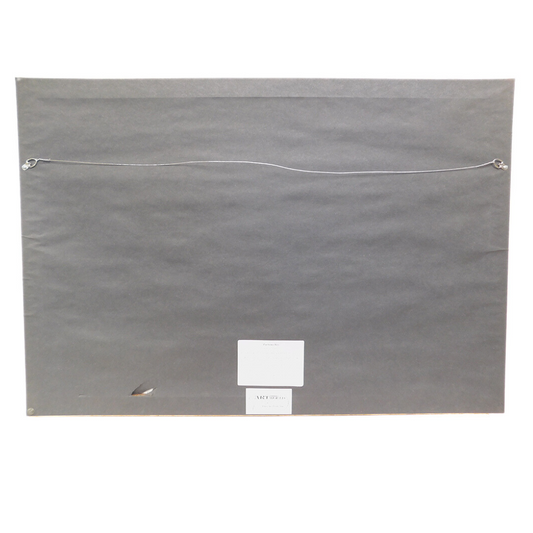 Large Framed Art Print - 'Pachena Bay'